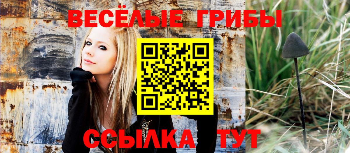 Псилоцибиновые грибы Psilocybine cubensis Беслан