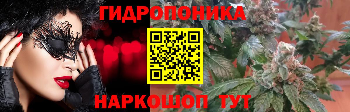 Шишки марихуана план  Вход с VPN  Бошки Шишки White Widow  Бошки Шишки Ganja  Беслан  МАРИХУАНА семена 